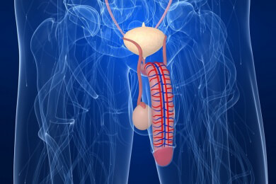 Erhöhter Harnsäurespiegel möglicherweise Auslöser für erektile Dysfunktion?