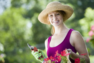 Gartenarbeit ist gesund - Fit durch Umgraben, Hecke schneiden und Obsternte