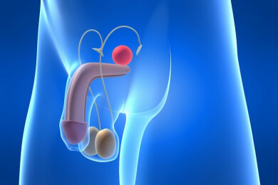 Was Sie schon immer wissen wollten: Forscher ermitteln das Durchschnittsmaß des Penis