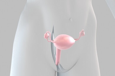 Früherkennung von Gebärmutterhalskrebs: Urintest könnte Abstrich ersetzen