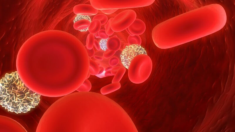 3D Grafik Blutzellen mit Virus