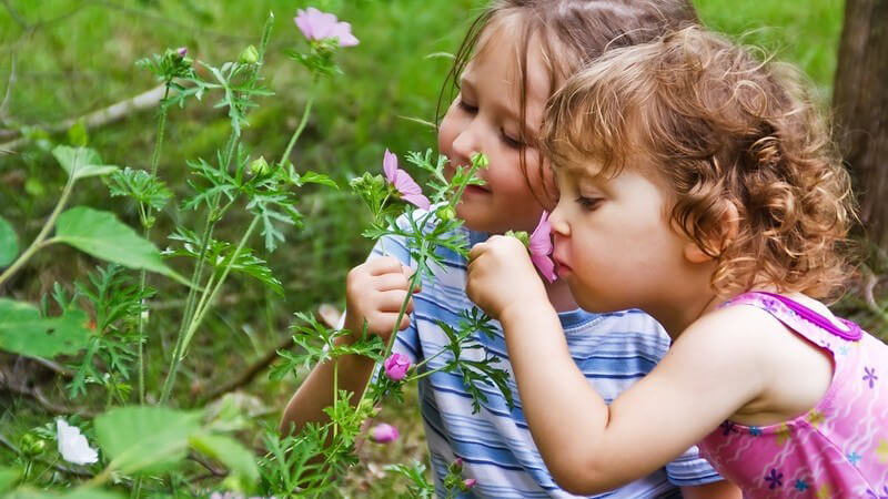 Zwei kleine Mädchen im Wald riechen an Blumen