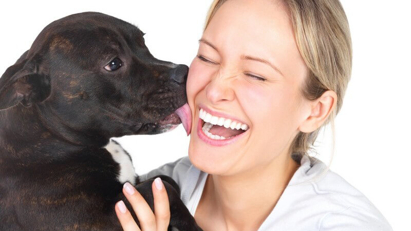 Blonde Frau lacht mit geschlossenen Augen, wird von Hundewelpe in Gesicht abgeleckt