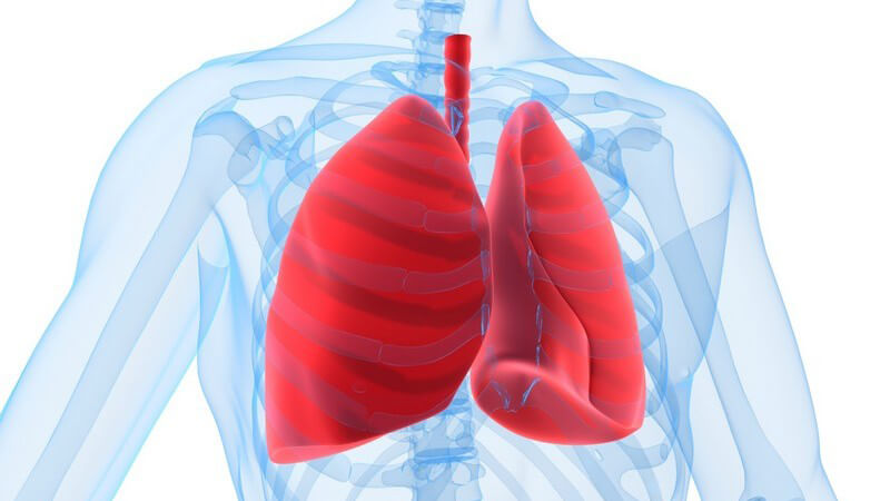 Grafik Lunge in rot auf weißem Hintergrund mit hellblauem Körper