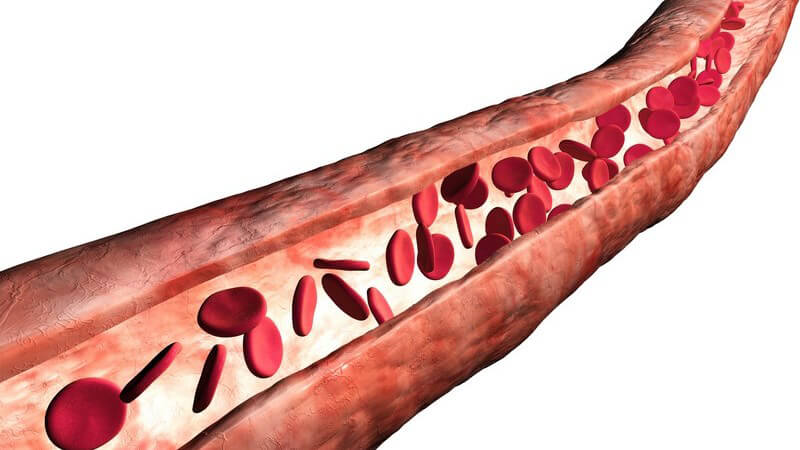 Grafische Darstellung Blutkörperchen in Vene, weißer Hintergrund