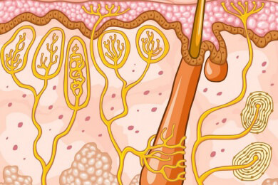 Neue Therapie für Unfallopfer: Microneedling lässt Narben verschwinden