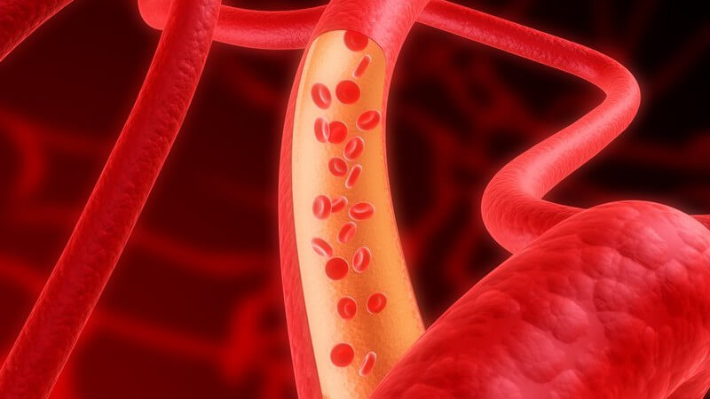 Anatomie - Grafik einer Arterie mit Blutkörperchen