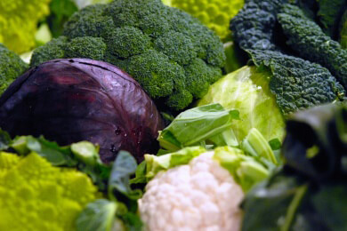 Heilung für Autismus in Sicht? Forscher setzen auf Brokkoli