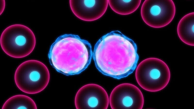Grafik Leukämie Zellen in pink auf schwarzem Hintergrund