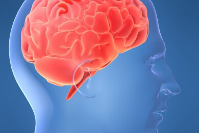 Hormone wie Cortisol beeinflussen das Lernen beim Menschen