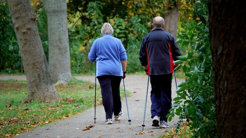 Zwei Senioren oder älteres Ehepaar von hinten in Sportdress im Park beim Nordic Walking mit Stöcken