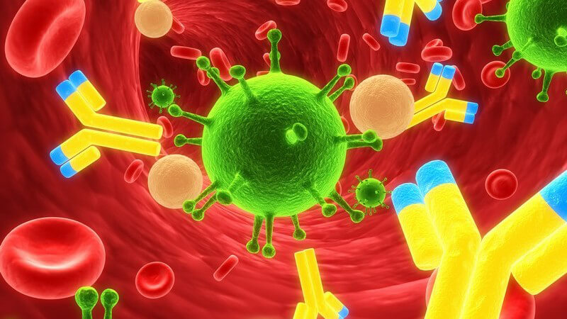 3D Grafik Virus Infektion
