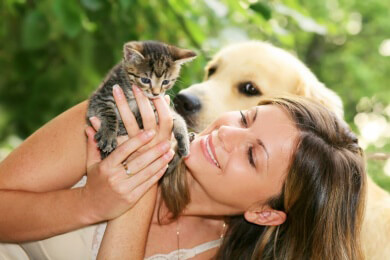 Erbgut der Katzen ändert sich durch das Zusammenleben mit dem Menschen