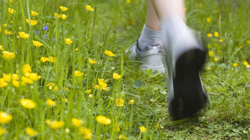 Joggende Beine auf Blumenwiese