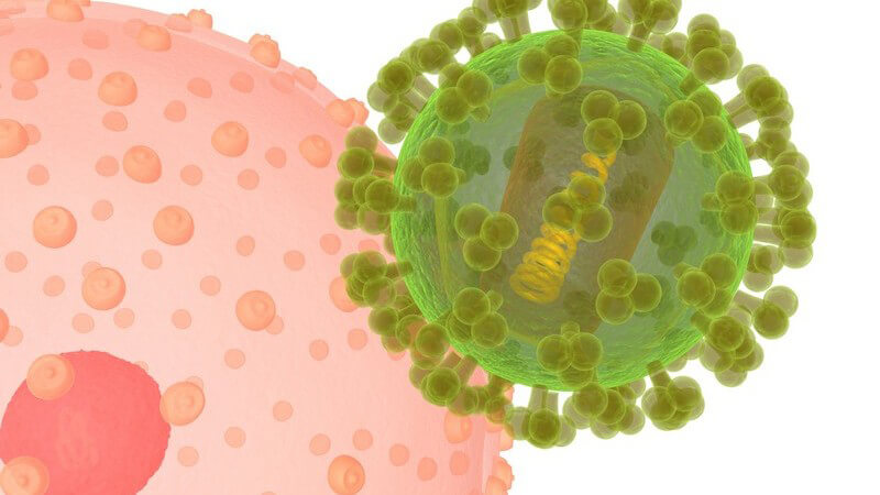 Grafik HI Virus und Zelle, weißer Hintergrund