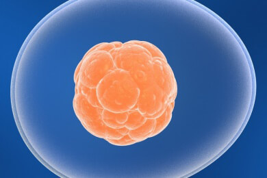 Behandlung eines Lymphoms trotz HIV