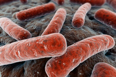 Multiresistente Keime - gegen diese Erreger sind Antibiotika machtlos
