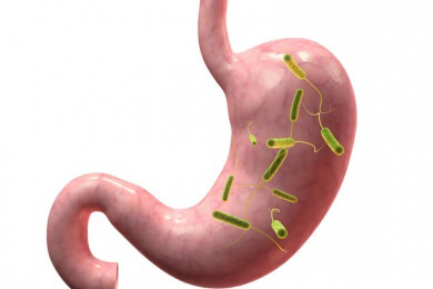 Durchfallerkrankungen durch Bakterien: Wie die Erreger die Magensäure überleben