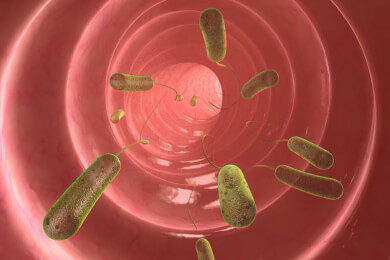 Jeder fünfte Reisende schleppt multiresistente Keime ein