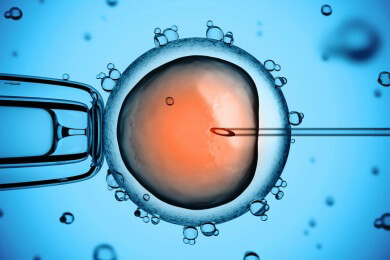 Weniger Früh- und Totgeburten nach künstlicher Befruchtung