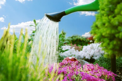 Blau wirkt beruhigend, Orange macht munter - Gartengestaltung mit Farben