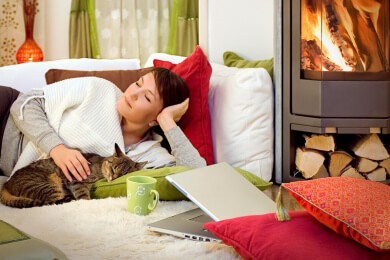 Mieze im Pappkarton: Warum Katzen sich so gerne verstecken