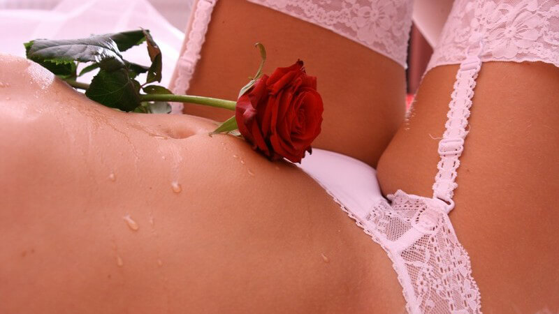 Ausschnitt Frauenkörper in erotischenDessous und Strapse, rote Rose auf Bauch