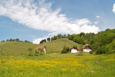 Die Karibik ist out, der Schwarzwald wieder in: Deutsche urlauben lieber zuhause