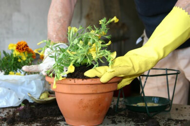 Welcher Gartenhandschuh für welchen Zweck?