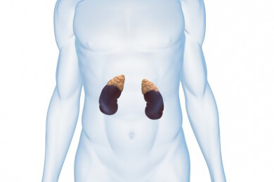 Krebs der Nebennieren: Wirkstoff Linsitinib ist ein Teilerfolg