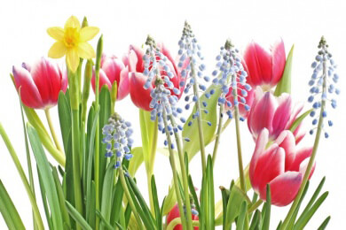 Frühling - Hormonkick mit unerwünschten Nebenwirkungen