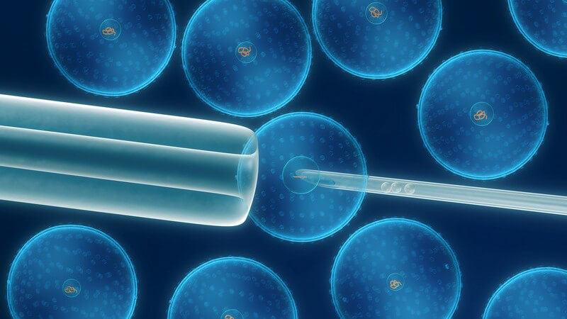 Grafik Nahaufnahme Mikroskop Zellen mit Zellkern von Spritze manipuliert, Genmanipulation