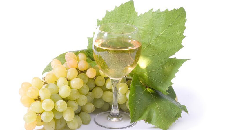 Glas mit Weißwein umgeben von weißen Trauben und Weinblättern auf weißem Hintergrund