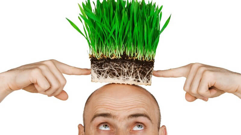 Mann hät Gras in Erde über seine Glatze