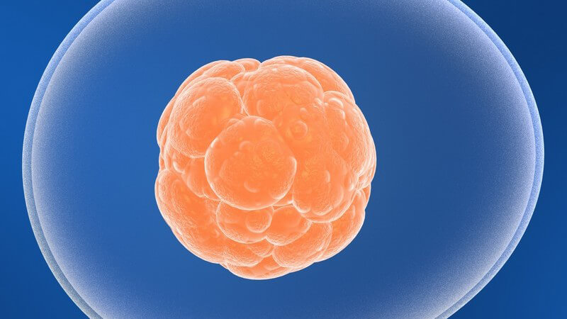 3D Grafik Stammzelle auf blauem Hintergrund