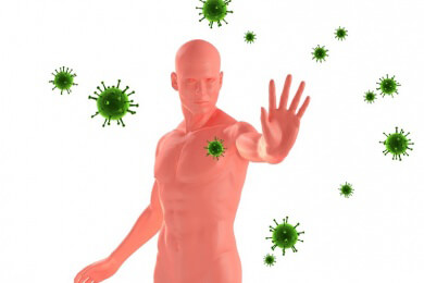 Die Polizei im Körper: Forscher beschreiben die Mechanismen des Immunsystems