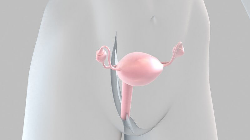 3D Grafik weiblicher Körper, Brust und Gebärmutter rot gekennzeichnet