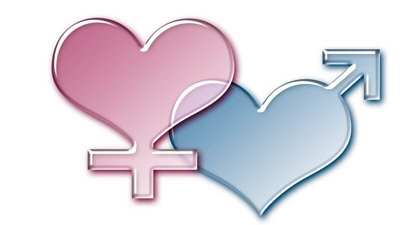 Grafik weibliches und männliches Geschlechtssymbole, rosa, blau in Herzform
