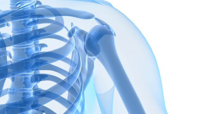 3D Grafik blau Skelett Oberkörper, Schulter in durchsichtigem Körper