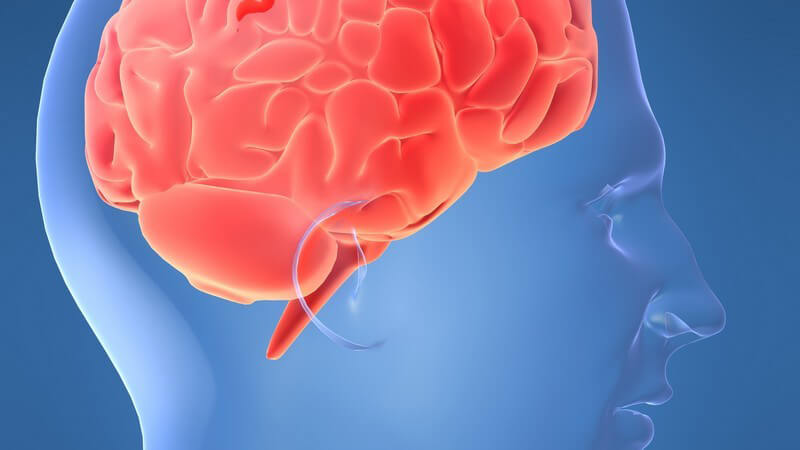 3D Grafik männlicher Schädel mit rotem Gehirn