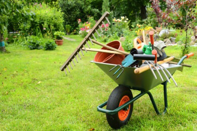Fuchsien im Sommer - die richtige Pflege für Dauerblüher