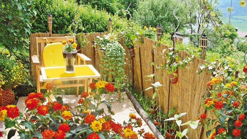 Kleine Terrasse mit Holzzaun mit grünen Pflanzen und roten und gelben Blumen