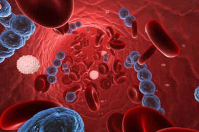 Geht Diabetes auf einen Bakterienbefall zurück?