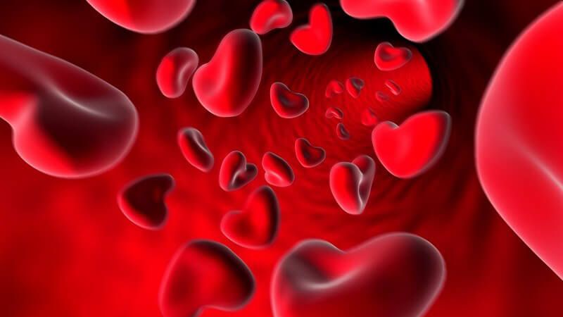 Grafik Blutzellen in Herzform in Ader