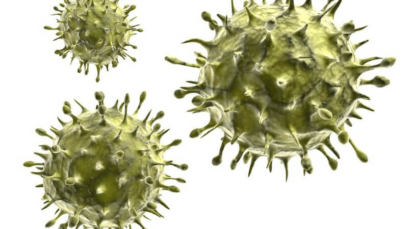 Grafik H1N1 Viren auf weißem Hintergrund