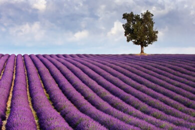 Hvar in der Adria - kleine Urlaubsinsel mit vielen Möglichkeiten