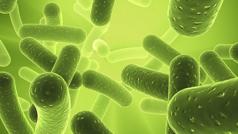 3D Nahaufnahme Grafik Bakterien