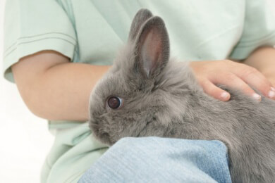 Streicheln und Schmusen - warum Haustiere für den Menschen wichtig sind