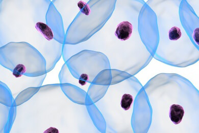 Forscher entschlüsseln die Details des programmierten Zelltods