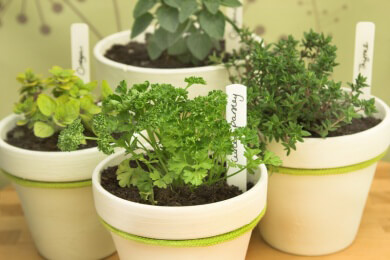 Ein letzter Sommerhauch: Balkon, Terrasse oder Garten selbst dekorieren